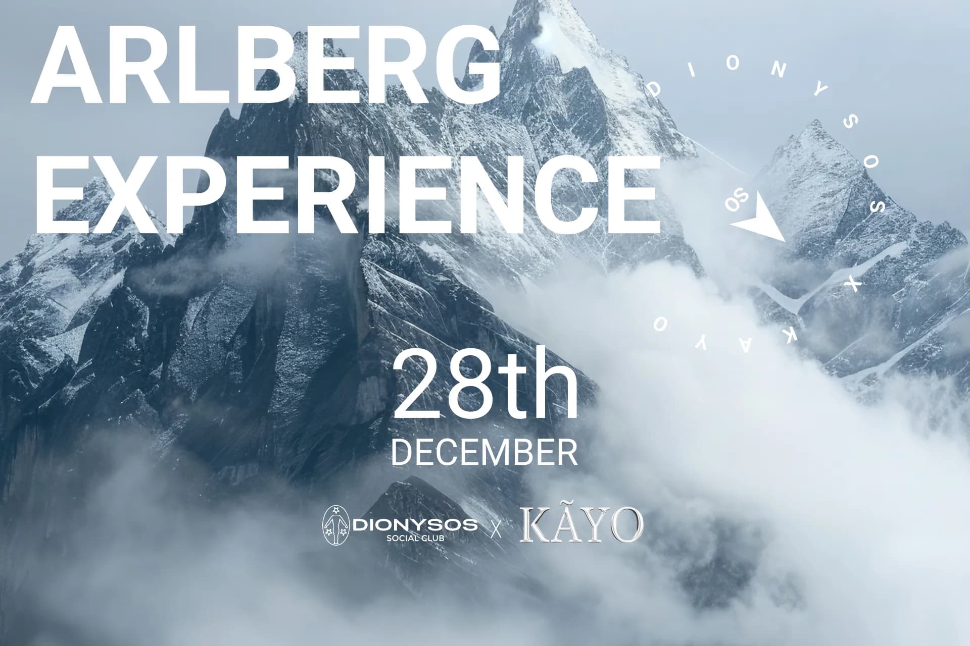 THE FESTIVAL EXPERIENCE